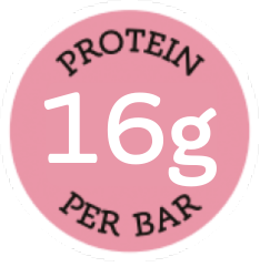 16g protein per bar